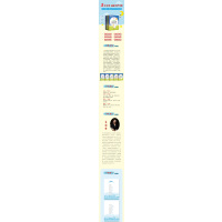 小学生作文分类素材大全 想象篇