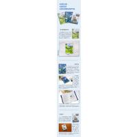 冒险童话集 金银岛+彼得潘+尼尔斯骑鹅旅行记(中小学课外读物)(全3册)