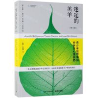 [N]迷途的羔羊(青少年犯罪案例分析及心理预防第12版)-9787121362330