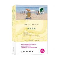 [N]夜色温柔(赠英文版)/双语译林壹力文库-9787544777148
