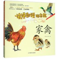 [N]家禽/浪漫彩铅随意绘-9787531483090