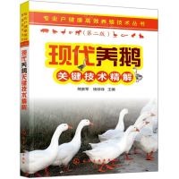 [N]现代养鹅关键技术精解(第2版)/专业户健康高效养殖技术丛书-9787122361387