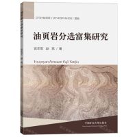 [N]油页岩分选富集研究-9787564646202