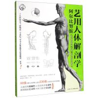 [N]阿尔比努斯艺用人体解剖学/西方经典美术技法译丛-9787558616495