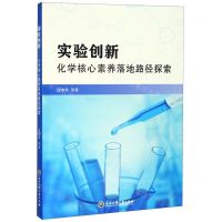 [N]实验创新(化学核心素养落地路径探索)-9787517838388
