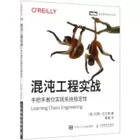 [N]混沌工程实战(手把手教你实现系统稳定性)/图灵程序设计丛书-9787115542601
