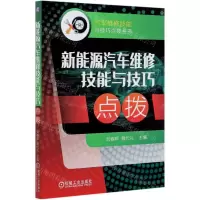 [N]新能源汽车维修技能与技巧点拨/汽车维修技能与技巧点拨丛书-9787111650461