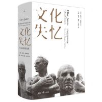 [N]文化失忆(写在时间的边缘)(精)-9787547735626