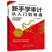 [N]新手学审计从入门到精通(企业内部审计全流程实操)-9787122374851