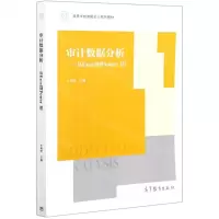 [N]审计数据分析--从Excel到Power BI(高等学校智能会计系列教材)-9787040558180