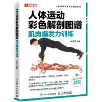 [N]人体运动彩色解剖图谱(肌肉爆发力训练)/人体运动彩色解剖图谱系列-9787115557551