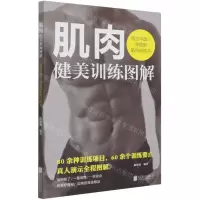 [N]肌肉健美训练图解(适合中国人体质的肌肉训练书)-9787559652706