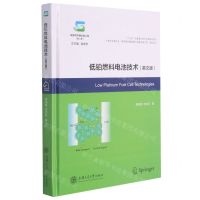 [N]低铂燃料电池技术(英文版)(精)-9787313248008