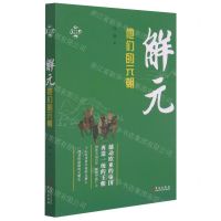[N]解元(他们的元朝)/华文通史-9787507554526