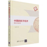 [N]中国的影子经济(理论与实证)(精)/清华汇智文库-9787302579441