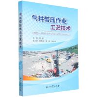 [N]气井带压作业工艺技术-9787518346639