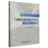 [N]气相爆轰波传播过程中的典型问题研究-9787568298599