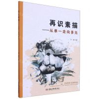 [N]再识素描--从单一走向多元-9787565053672