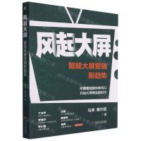 [N]风起大屏(智能大屏营销新趋势)-9787111689133