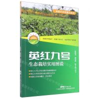 [N]英红九号生态栽培实用图说/新时代乡村振兴丛书-9787535976994