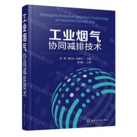 [N]工业烟气协同减排技术(精)-9787122369185
