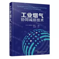 [N]工业烟气协同减排技术(精)-9787122369185