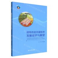 [N]储层改造关键技术发展现状与展望-9787518343669