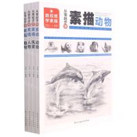 [N]从零起步学素描(共4册)-9787513935203