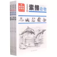 [N]从零起步学素描(共4册)-9787513935203