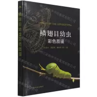 [N]鳞翅目幼虫彩色图鉴(精)-9787109281738