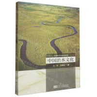 [N]中国治水文化(中国水文化系列研究)-9787564182298