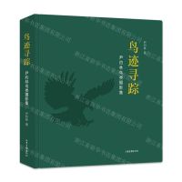 [N]鸟迹寻踪(尹约林鸟类摄影集)(精)-9787547440445