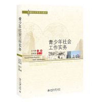 [N]青少年社会工作实务(新编社会学系列教材)-9787301327135