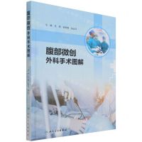 [N]腹部微创外科手术图解(精)-9787117320603