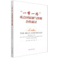 [N]一带一路重点国家油气资源合作前景-9787518349135