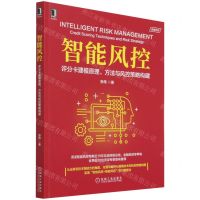 [N]智能风控(评分卡建模原理方法与风控策略构建)-9787111695677
