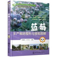 [N]蓝莓丰产栽培整形与修剪图解(第2版)/果树栽培修剪图解丛书-9787122395863