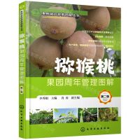 [N]猕猴桃果园周年管理图解(第2版)/果树栽培修剪图解丛书-9787122395870