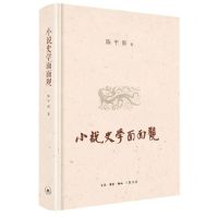 [N]小说史学面面观(精)-9787108072160