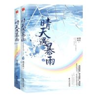 [N]晴天遇暴雨(上下)-9787549280346