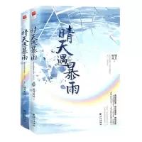 [N]晴天遇暴雨(上下)-9787549280346