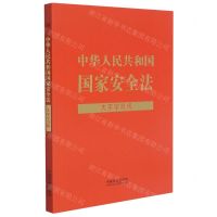 [N]中华人民共和国国家安全法(大字学习版)-9787521623543