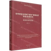 [N]非传统安全视域下都市智慧反恐体系构建研究(欧洲经验的启发)/政党外交与全球治理丛书-9787519504533