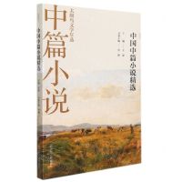 [N]2021中国中篇小说精选/太阳鸟文学年选-9787205103446