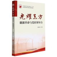 [N]光耀东方(能源革命与党的领导力)/中国共产党百年领导力丛书-9787503566714