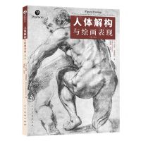 [N]人体解构与绘画表现(第7版)-9787102088273