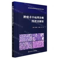 [N]肿瘤术中病理诊断图谱及解析(临床病理住院医师规范化培训实践系列教材)-9787117322027