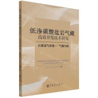 [N]低渗碳酸盐岩气藏高效开发技术研究(以磨溪气田雷一1气藏为例)-9787511460721