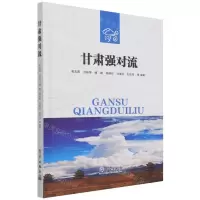 [N]甘肃强对流(精)-9787502976576