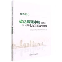[N]碳达峰碳中和目标下中长期电力发展战略研究(聚焦浙江)-9787519863548